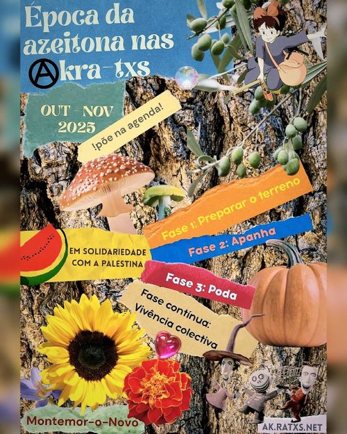 Época da Azeitona nas Akra-Txs
