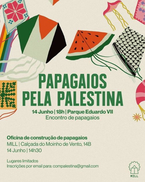 Encontro de papagaios pela Palestina