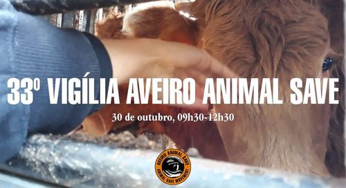 33° Vigília Aveiro Animal Save