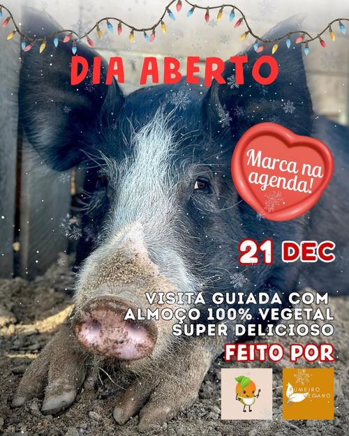 Ultimo Dia aberto do ano no Santuário 💕