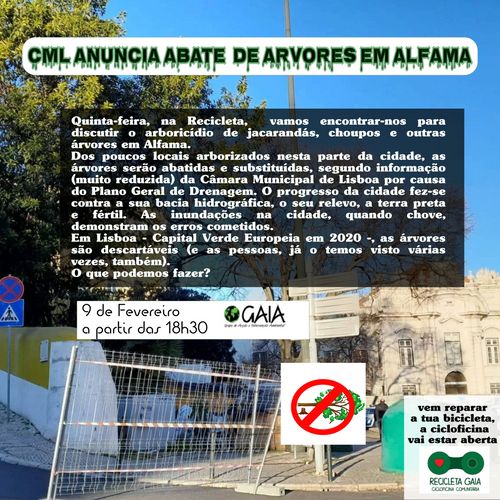 CML anuncia abate  de Arvores em Alfama