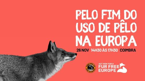 Acção Fur Free Europe - Coimbra