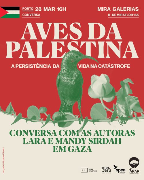 Conversa com as fotógrafas Lara e Mandy Sirdah sobre ecocídio em Gaza