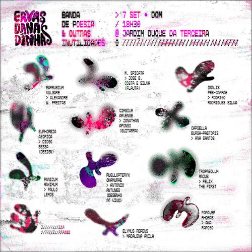 Ervas Danadinhas | 7 SET 2025 | Apresentação no Jardim Duque da Terceira / Angra do Heroísmo