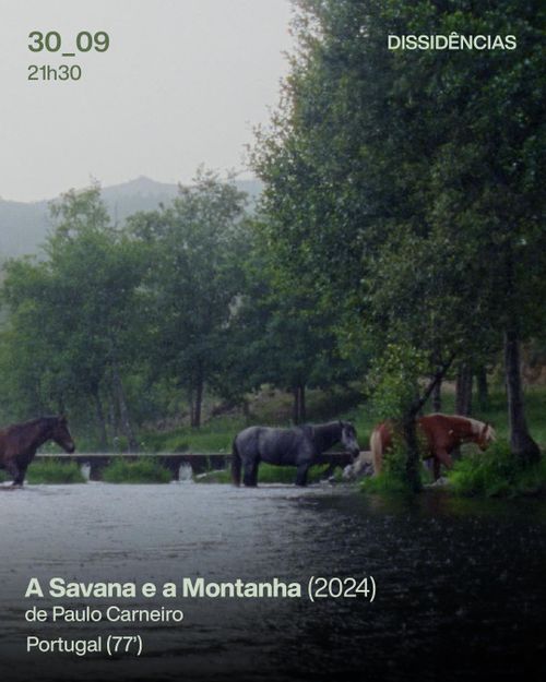 A Savana e a Montanha