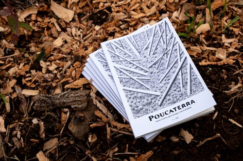 Apresentação 1.º número da Poucaterra