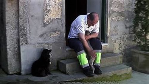 DocuDomingo - CANIL, de Miguel Marques