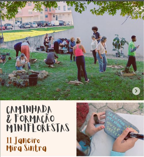 Caminhada de reconhecimento de biodiversidade