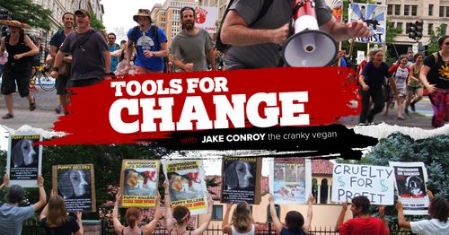 Workshop “Tools for Change” com The Cranky Vegan