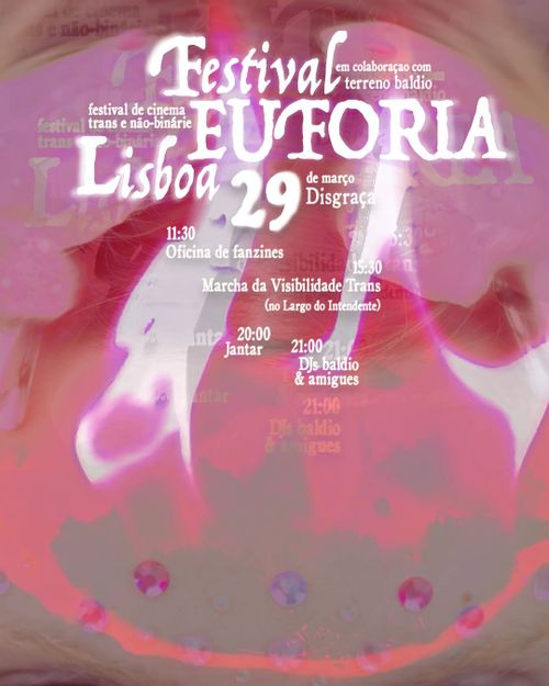 Festival Euforia x Disgraça