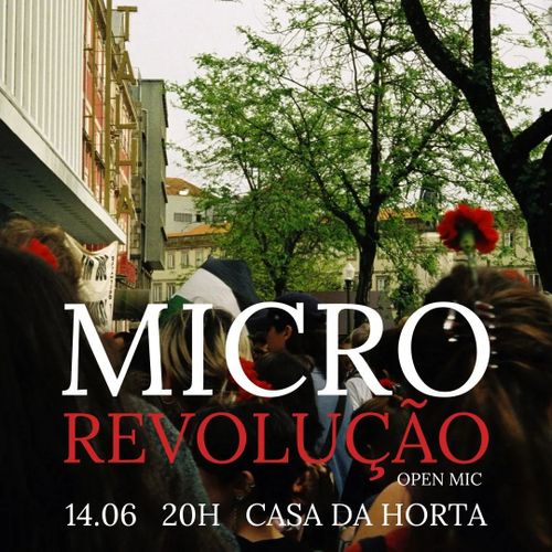 Micro Revolução