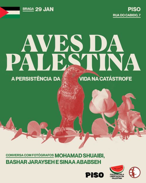 Aves da Palestina: A persistência da Catástrofe - Conversa com os fotógrafod